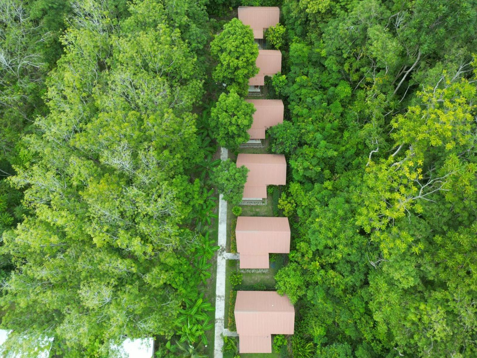 Hotel Zabit Bungalow Ko Lanta Esterno foto