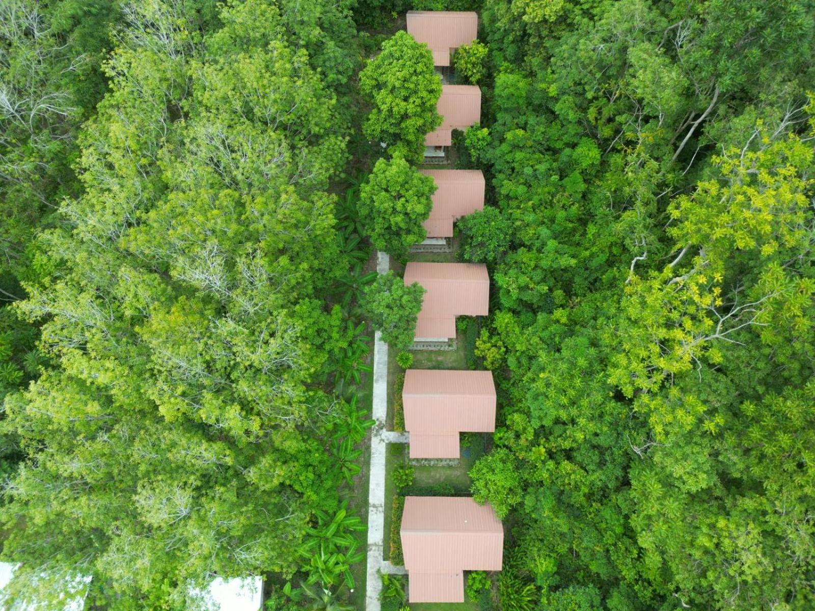 Zabit Bungalow Ko Lanta Esterno foto