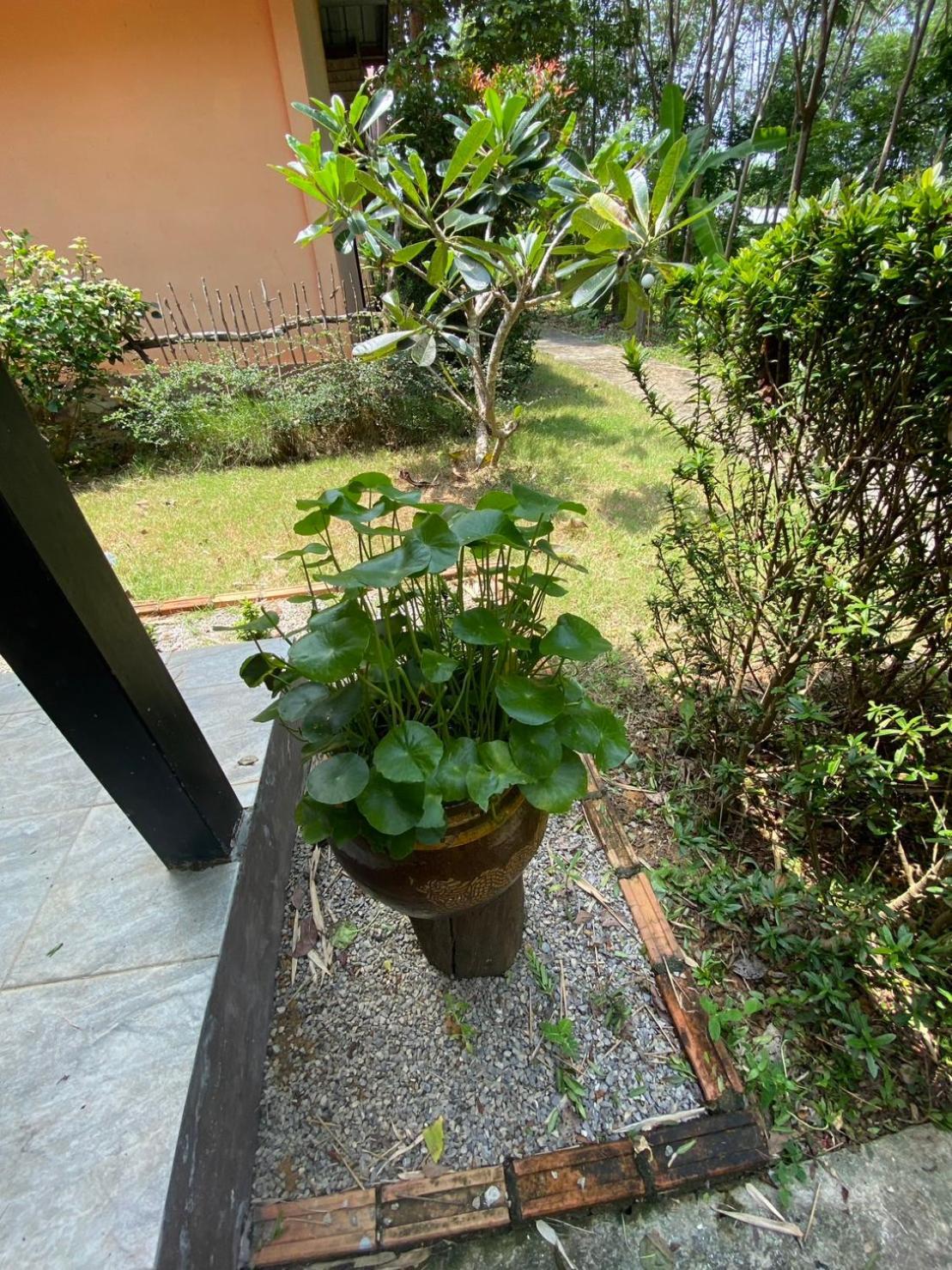 Zabit Bungalow Ko Lanta Esterno foto